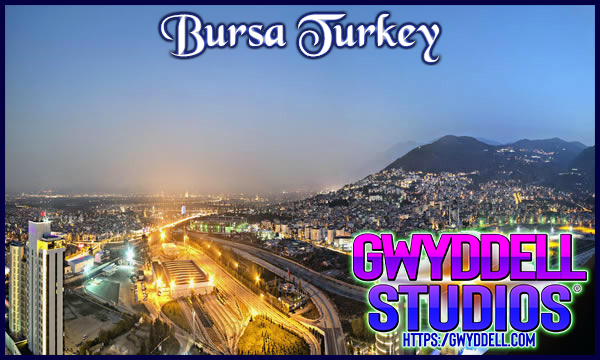 Bursa